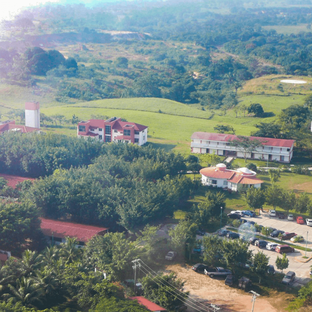 2002-unpa