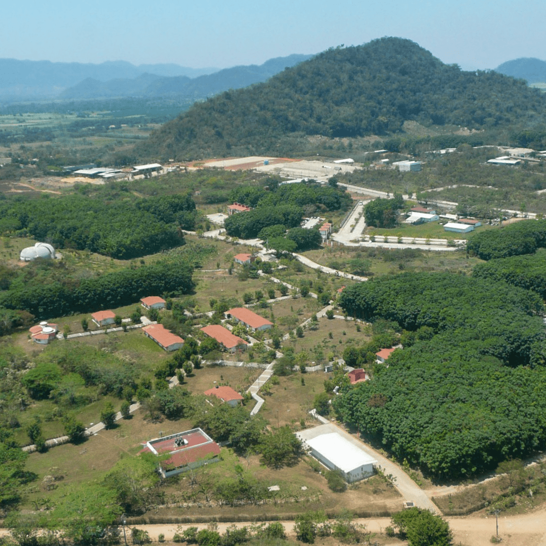2005-unpa