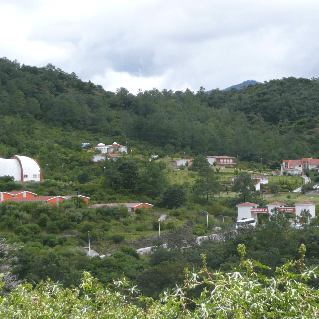 2005