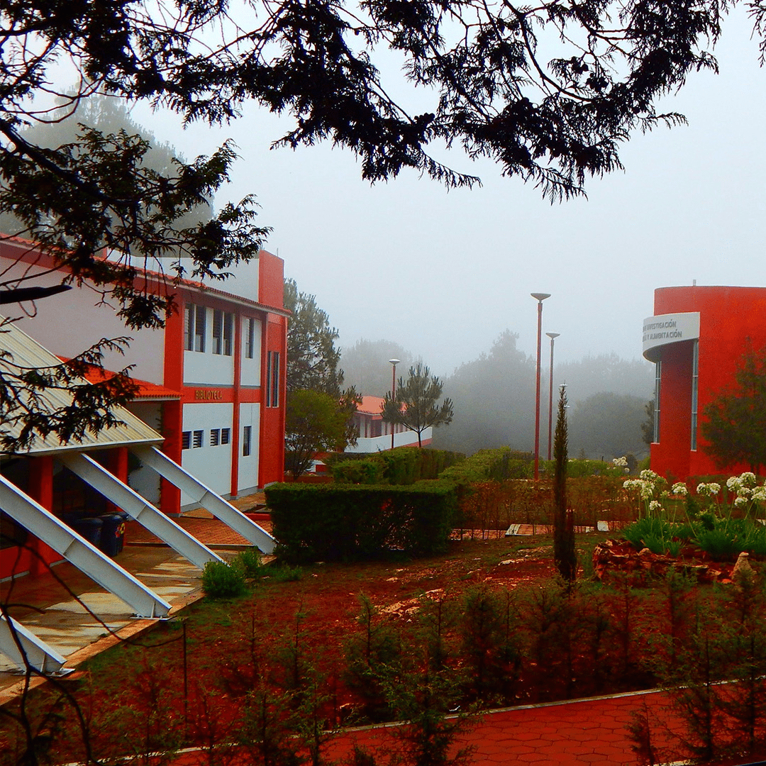 2013-unicha