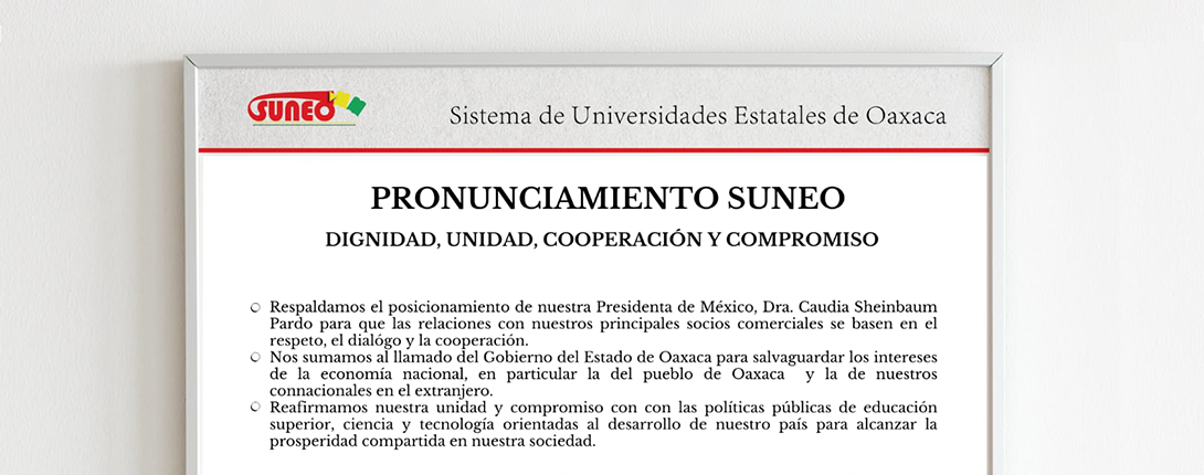 Pronunciamiento SUNEO