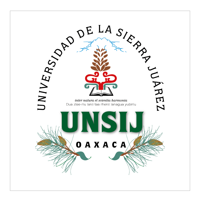 UNSIJ logo