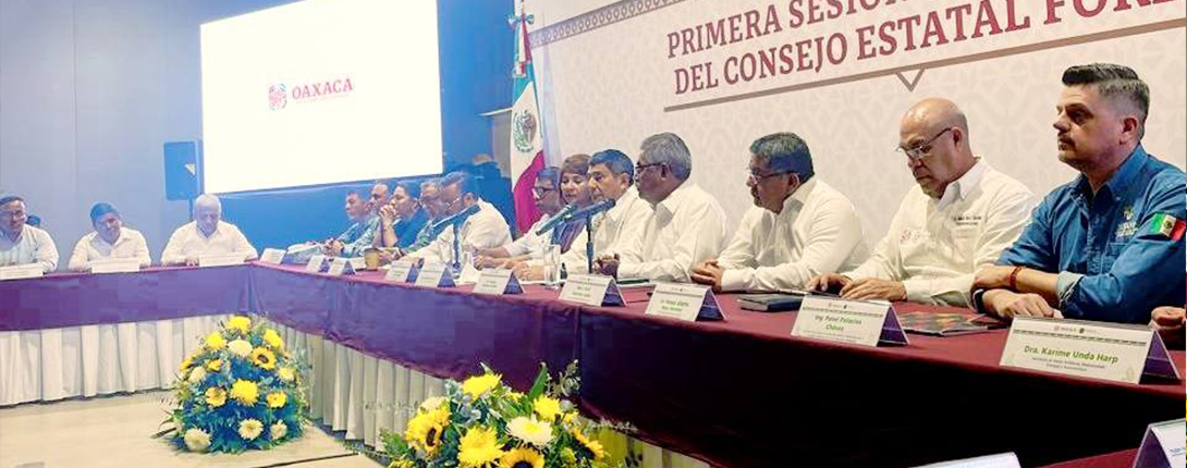 Consejo Estatal Forestal